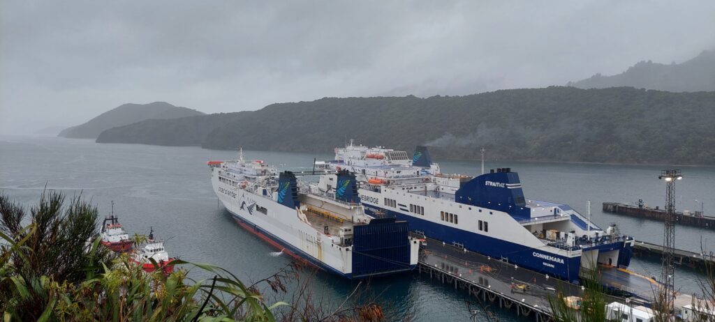De overtocht naar Wellington